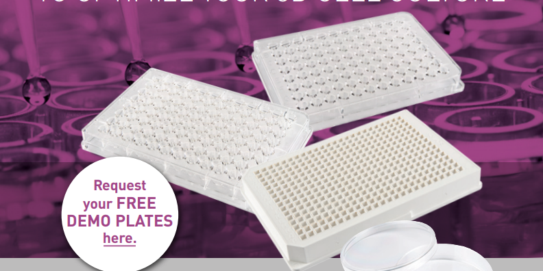 1654613298_PrimeSurface