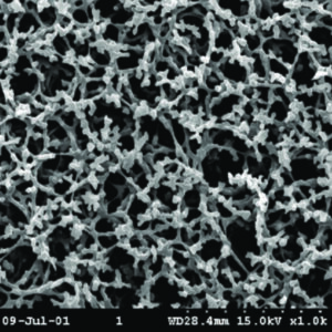 Membrane filters, Grade NC, made from cellulose nitrate