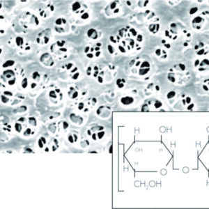 Membrane filters, regenerated cellulose