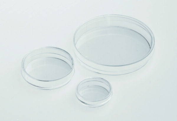 IVF Petri dishes