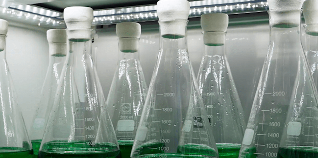 GWBerg-Multitron-LED-650x650px