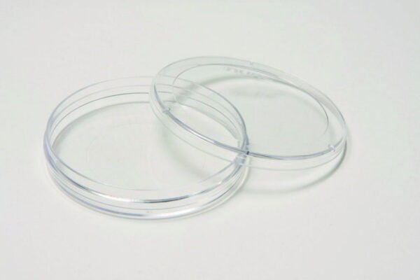 IVF ICSI dishes