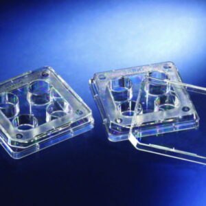 IVF 4 Well Dishes