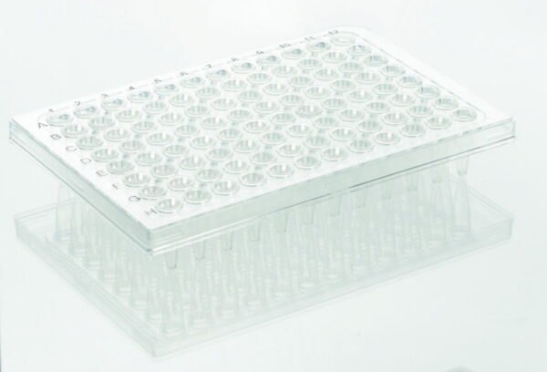 PCR Plates 96 well, Rigid Frame