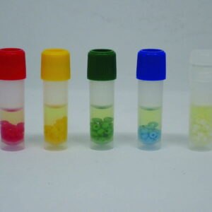Cryopreservation beads