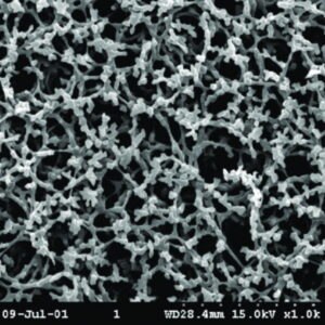 Membrane filters, Grade NC, made from cellulose nitrate