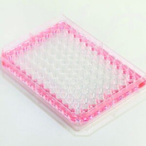 96-well plate Nunc™ Edge 2.0, with flat bottom, PS