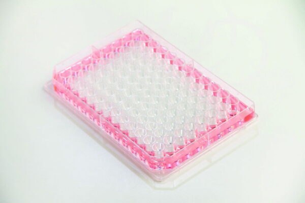 96-well plate Nunc™ Edge 2.0, with flat bottom, PS, with hydrophilic surface Nunclon™ Delta