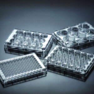 Cell Culture Plates, treated, PS, sterile