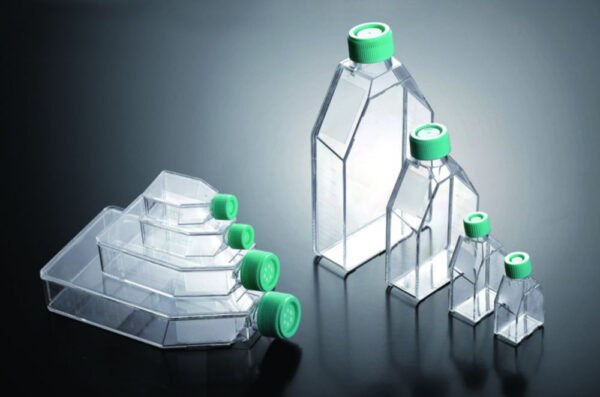 Cell culture flasks, treated, PS, sterile