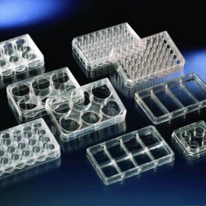 Multidishes, Nunc™ cell culture treated surface, PS, sterile