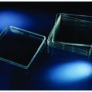 Biological test dish