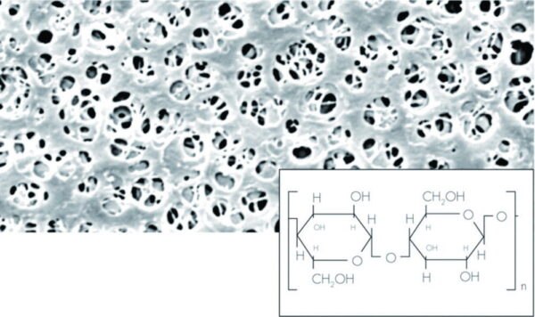 Membrane filters, regenerated cellulose