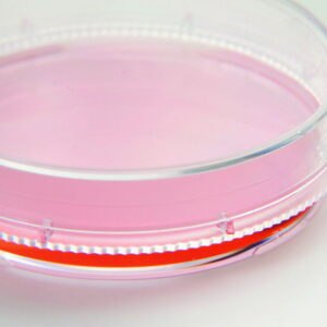 Cell and Tissue Culture Dishes, Nunc™ EasYDish™, PS, sterile