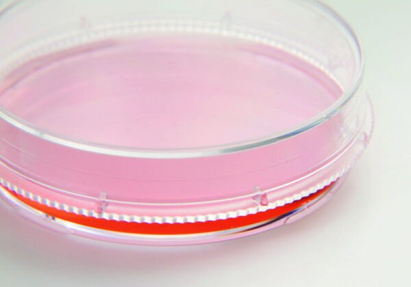 Cell and Tissue Culture Dishes, Nunc™ EasYDish™, PS, sterile