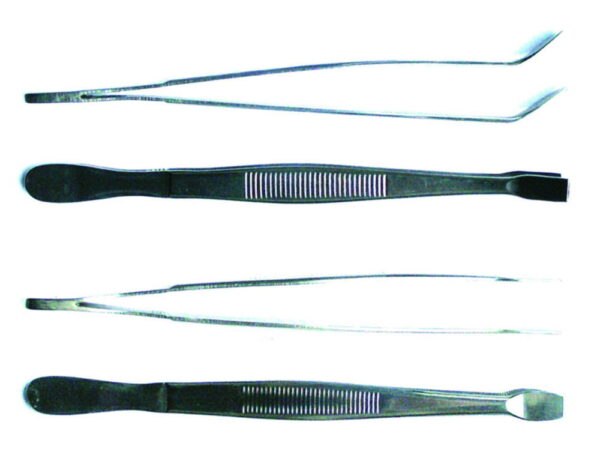 LLG-Cover glass forceps, type Kühne, stainless steel