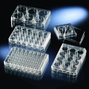 Multidishes, non-treated, PS, sterile