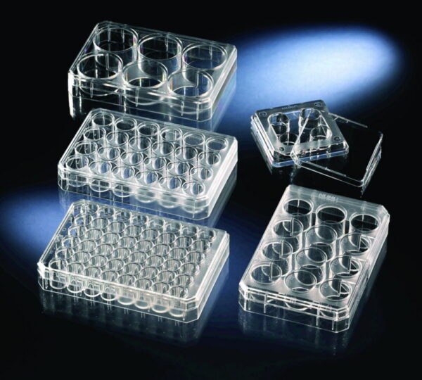 Multidishes, non-treated, PS, sterile