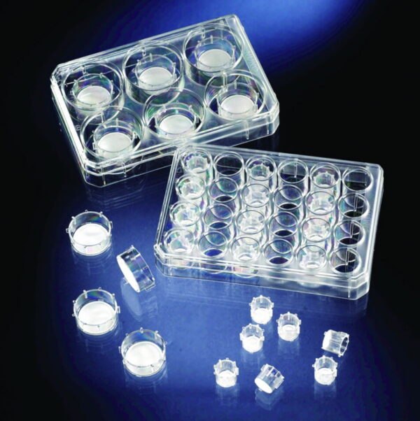 Cell Culture Inserts and Carrier Plates, PC, sterile