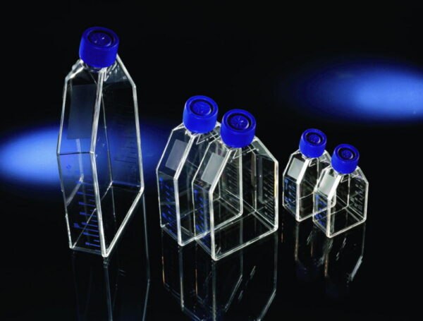 Cell Culture Flasks EasYFlask™, treated, PS/HDPE, sterile