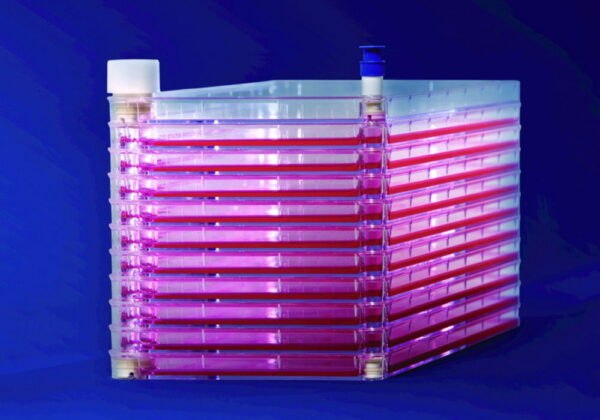 Cell Factories EasyFill™ mit Nunclon™Δ Surface, PS, sterile