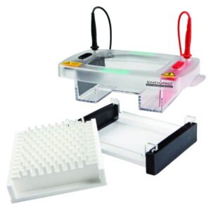Gel electrophoresis tank Enduro™ 96