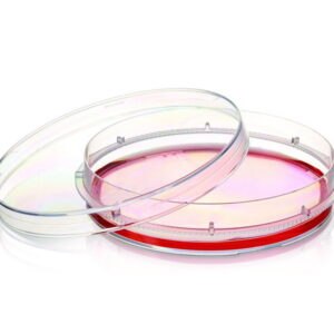 Cell culture dishes Nunc™ EasYDish™, PS, with Nunclon™ Supra surface