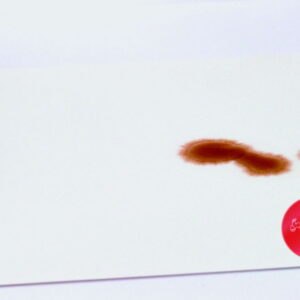 Surface Protector with polyethylene layer