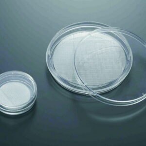 3D Cell culture dishes CellSCAFLD®, treated, PS, sterile