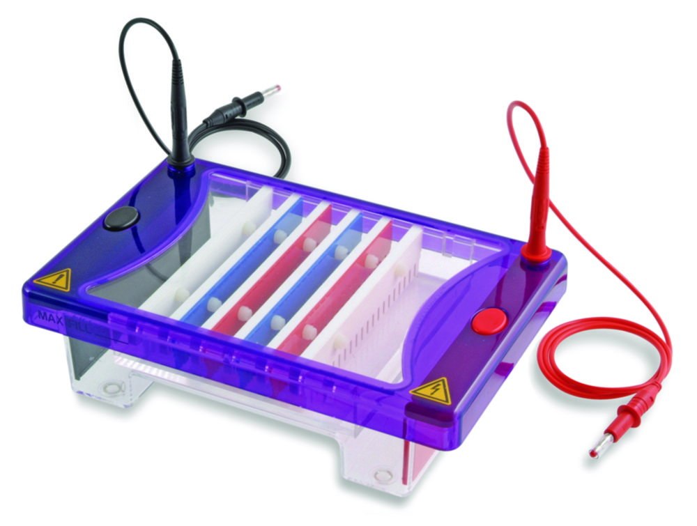 Gel electrophoresis tank MultiSUB Choice Trio
