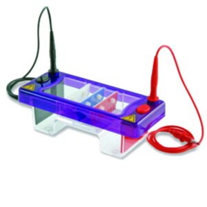 Gel electrophoresis tank MultiSUB Mini